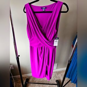 New With Tags Purple Champs Dress